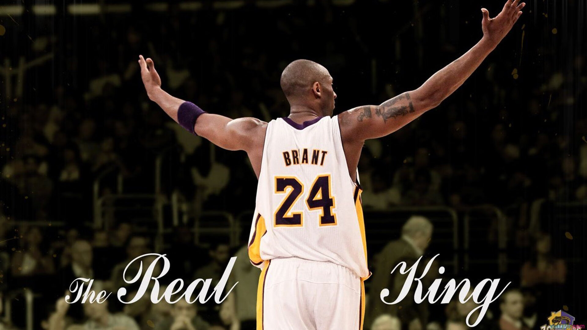 【新规则的战术变化】科技裁判如何促进比赛公平,科技运动会裁判员宣誓