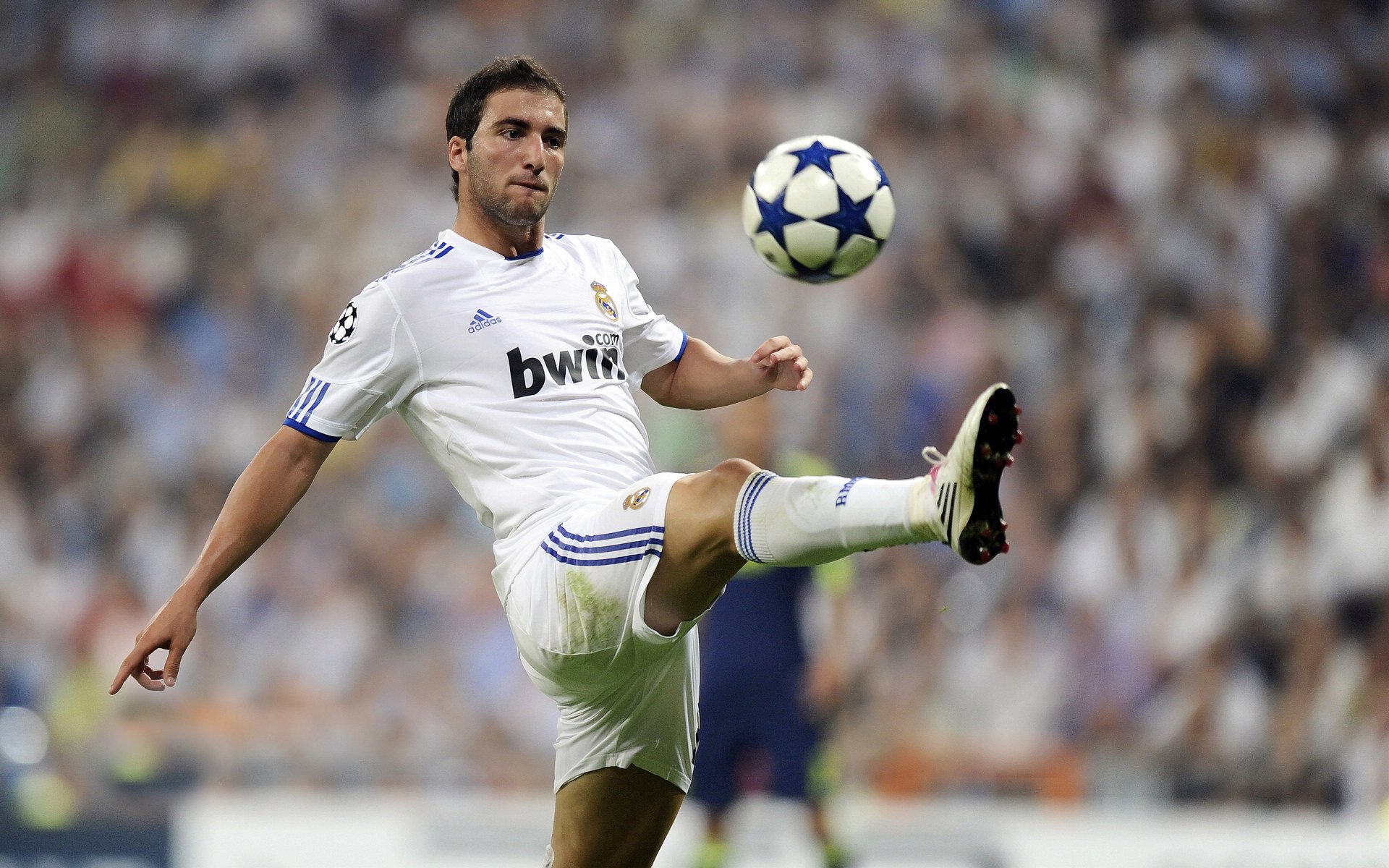 新人高速崛起：迷你传奇的成长路径，迷你传奇手机版